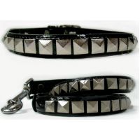 Rockstar Collection Collar and Leash