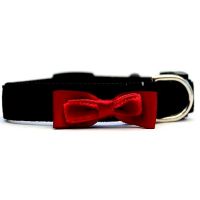 Bowtie Cat Collar - with Red bow