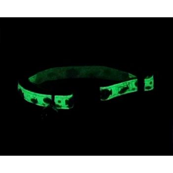 The Safe Cat Glow in the Dark Collar shown in the dark (Sorry, fish design shown is currently not available)