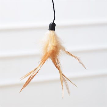 The Midnight Molly even comes with 3 feathered cat toys!