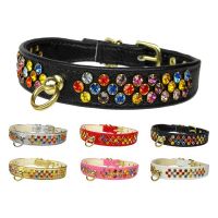The Confetti Crystal Sprinkles Dog Collar Collection
